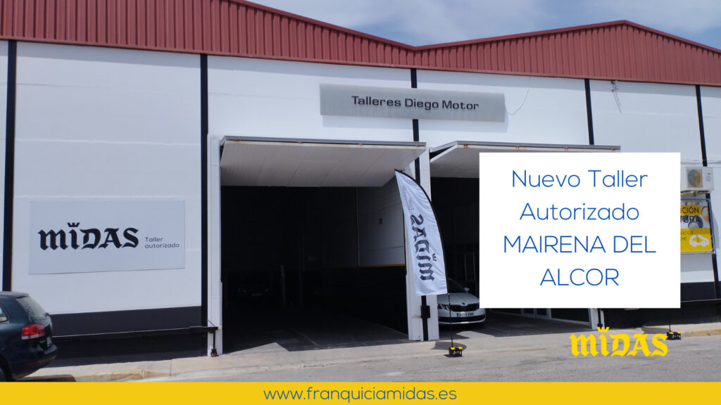 APERTURA LICENCIA MAIRENA DEL ALCOR